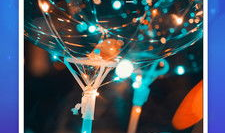 短视频app破解版,免费畅享热门内容的秘密通道